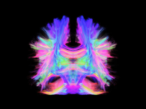 Democratizing neuroscience for education