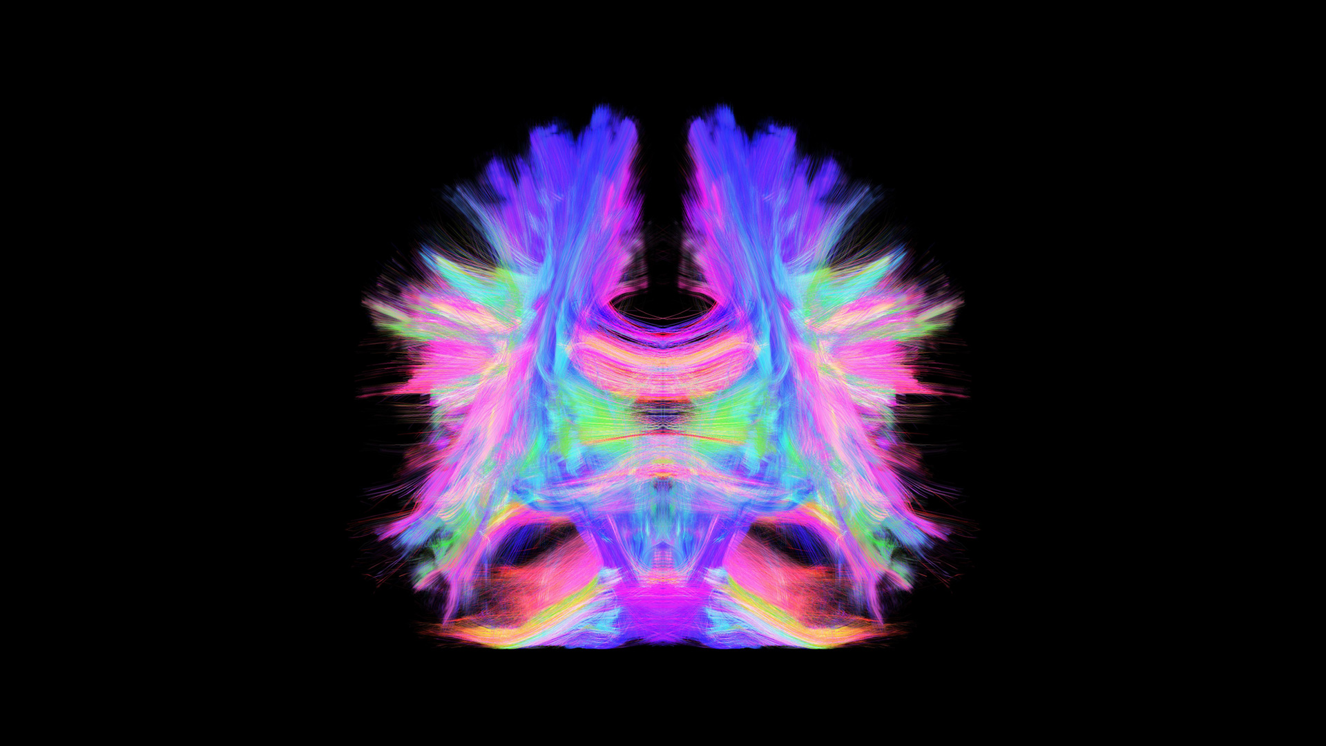 Democratizing neuroscience for education