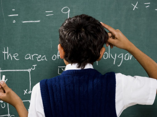 The effect of math anxiety on the numerical brain