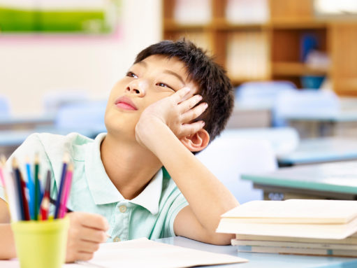 Brain development and its derangements