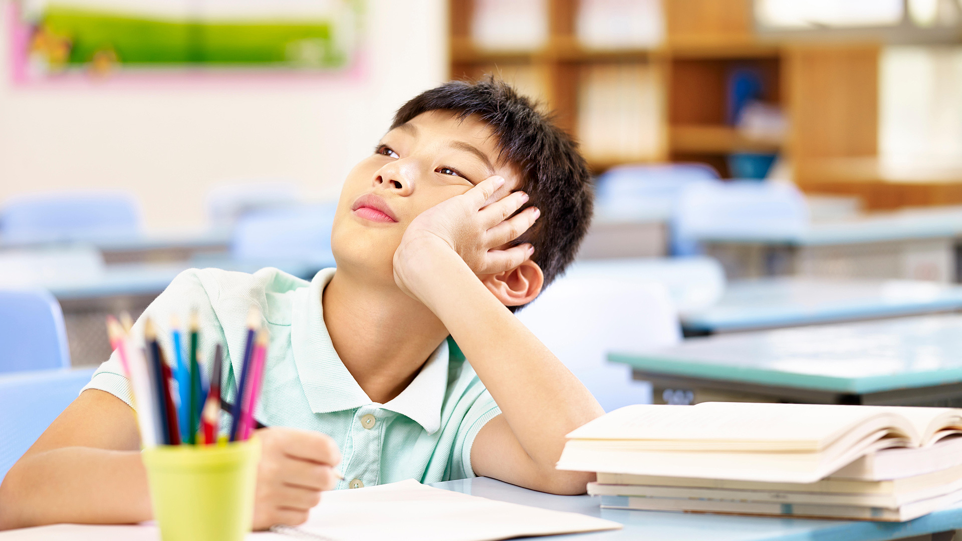 Brain development and its derangements