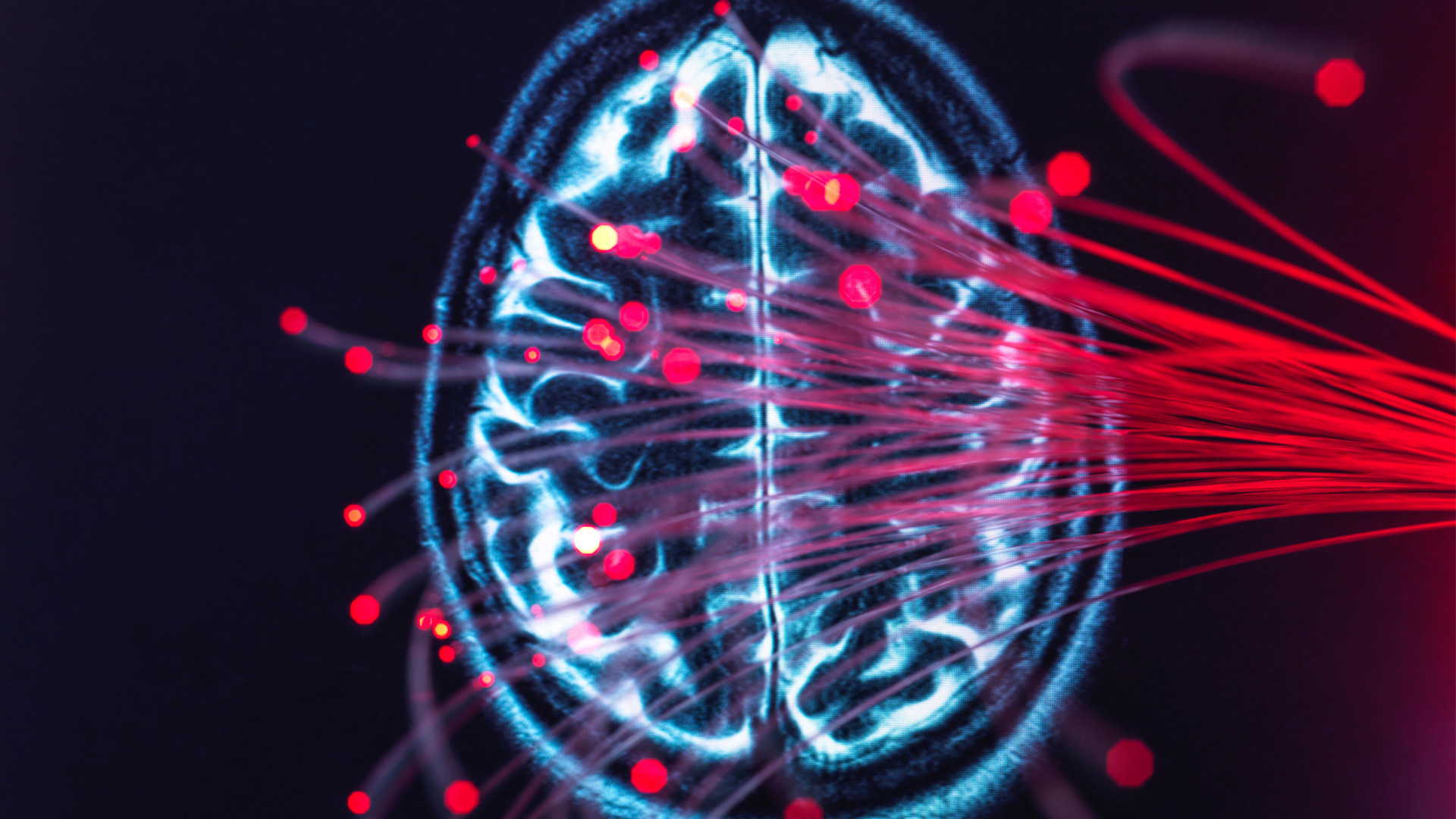 (Neuro)Science for education: Start of a new era