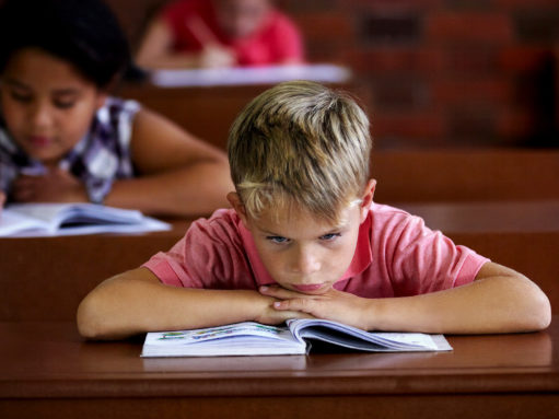 Adverse environments for (disadvantaged) development and learning: Which brain systems are most impacted?