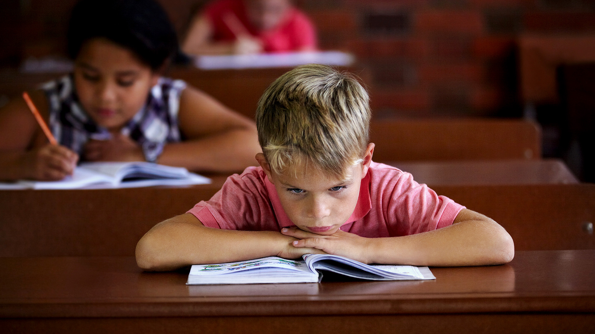 Adverse environments for (disadvantaged) development and learning: Which brain systems are most impacted?