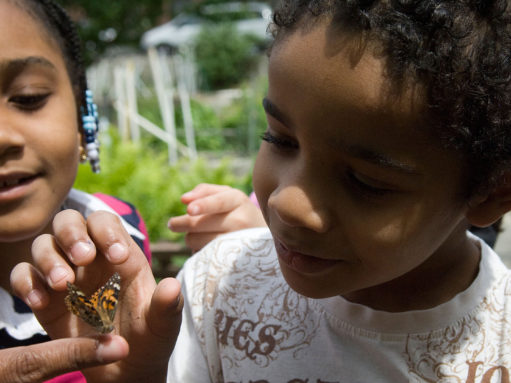 Novelty as a strategy to improve learning