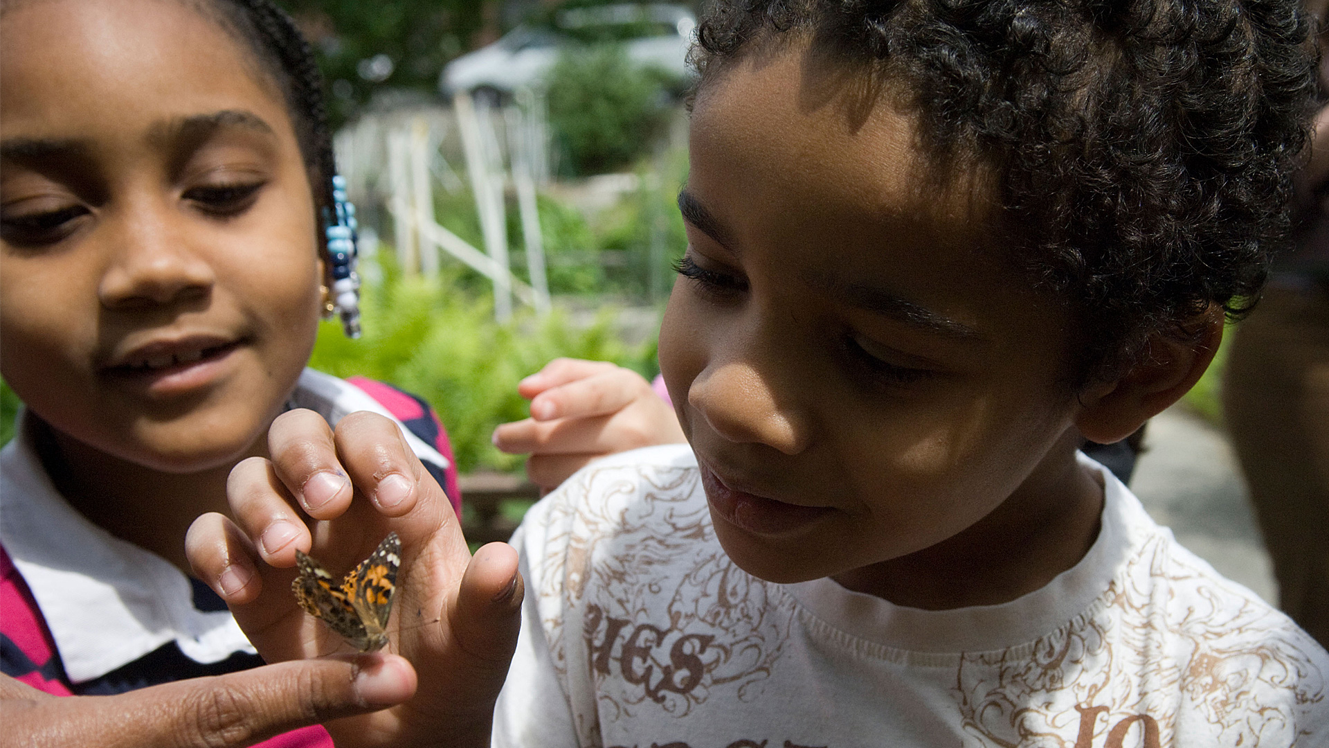 Novelty as a strategy to improve learning