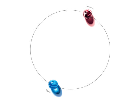 From the science of the learning brain to the classroom: A tale of a constructive dialogue between researchers and teachers