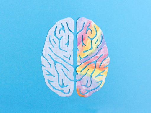 Brain hemispheres and education: Left, right, and wrong