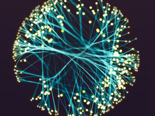 The neurodevelopmental underpinnings of children’s learning: Connectivity is key