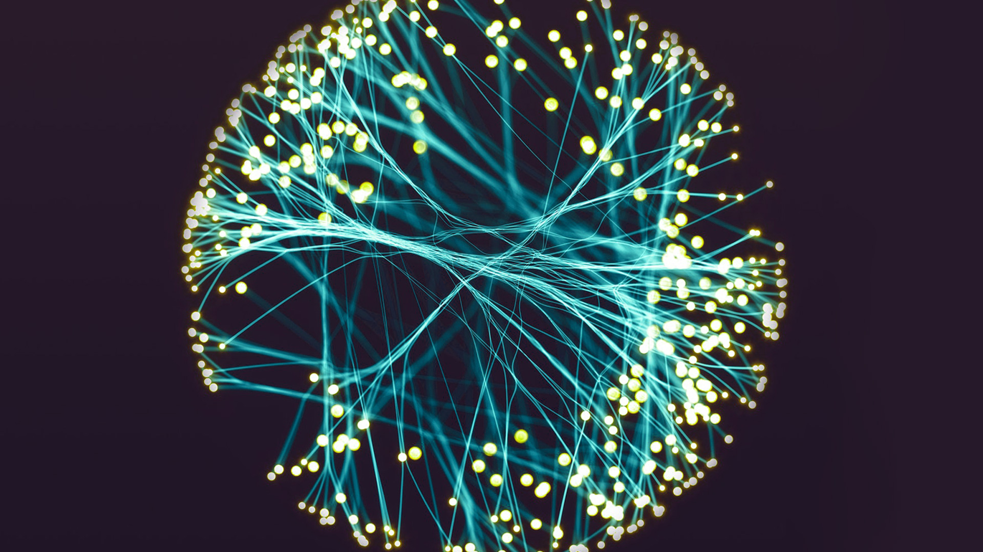 The neurodevelopmental underpinnings of children’s learning: Connectivity is key