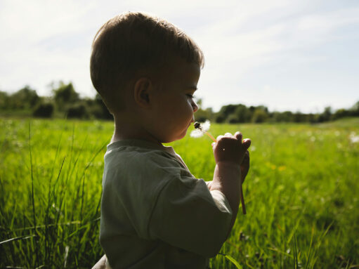 The importance of living in contact with the nature during early development