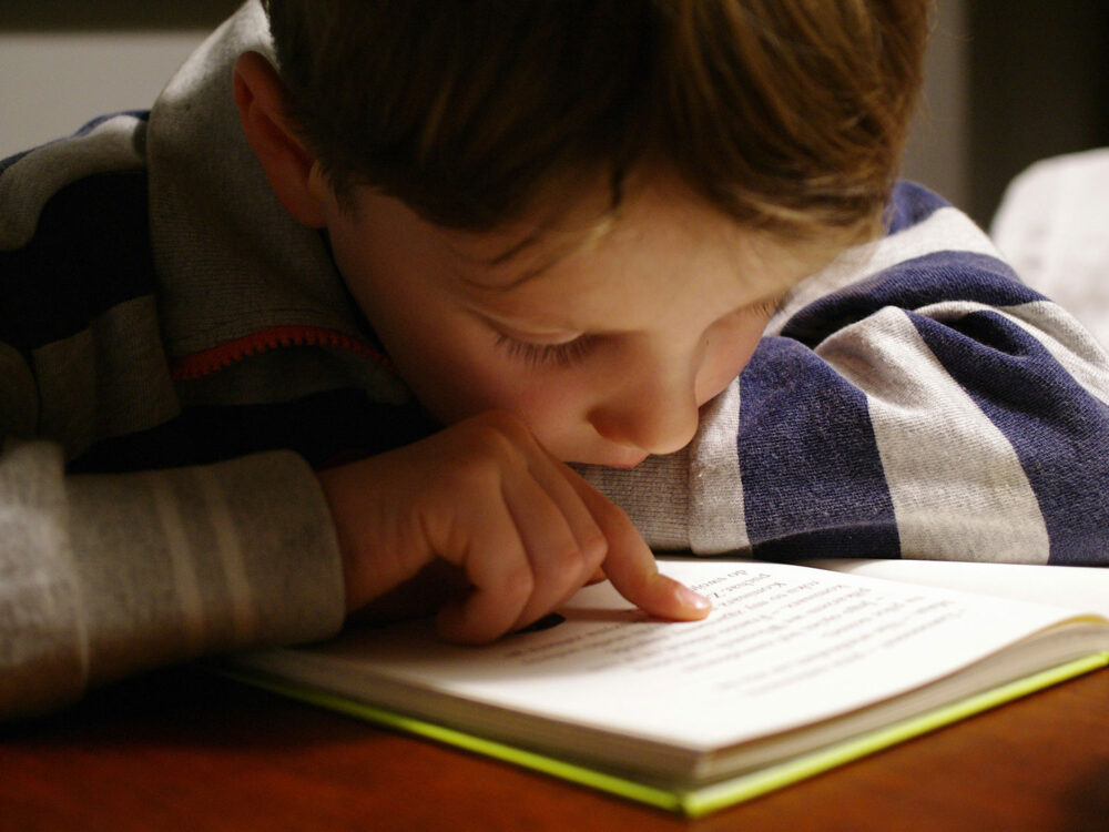 Repensar la currícula del futuro. Enseñar a entender lo que se lee.